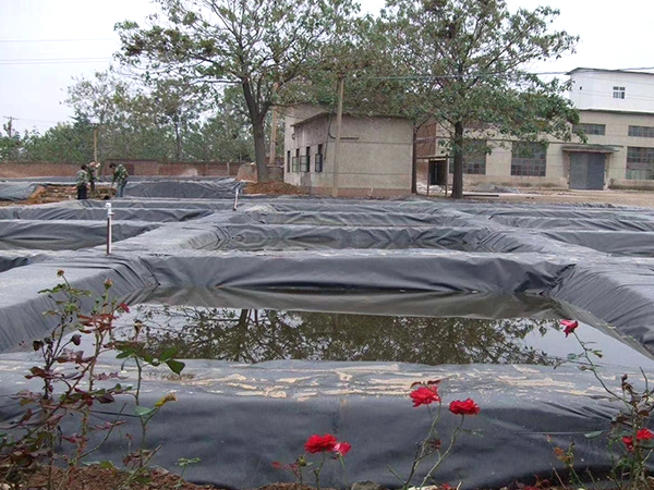 防滲土工膜在水產養(yǎng)殖行業(yè)發(fā)揮良好特性。