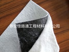 創(chuàng)新守護(hù)，防滲土工膜的全方位保護(hù)策略
