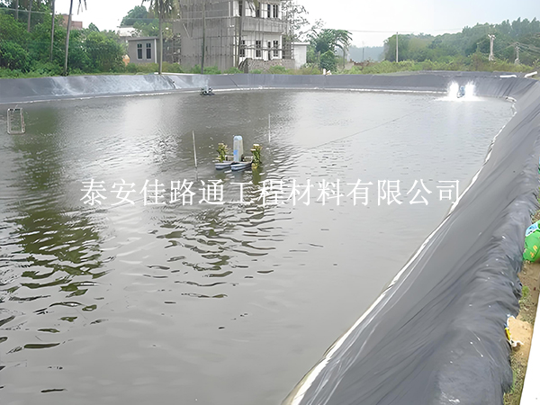 魚蝦養(yǎng)殖防滲膜選黑還是白？掌握這些原則不選