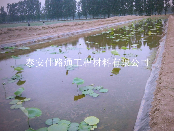 養(yǎng)殖防滲膜施工別大意，這些控制要點(diǎn)要抓實(shí)